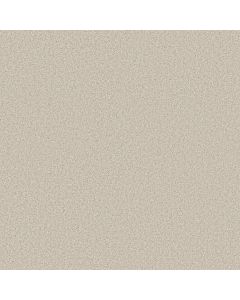 Shaw TONAL COMFORT II Champagne Toast Carpet - SH-5E657-00153