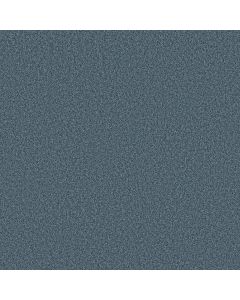 Shaw TONAL COMFORT II Surf Lessons Carpet - SH-5E657-00422