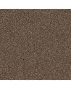 Shaw TONAL COMFORT II Cliff Hiking Carpet - SH-5E657-00714