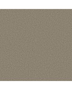 Shaw TONAL COMFORT II Dockside View Carpet - SH-5E657-00722