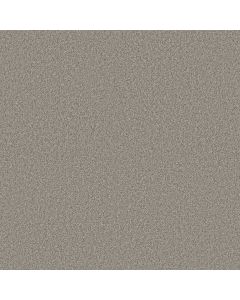 Shaw TONAL COMFORT II Back Patio Carpet - SH-5E657-00724