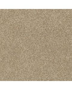 Shaw TONAL COMFORT II Honey Tea Carpet - SH-5E657-00750
