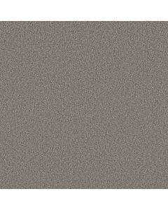 Shaw TONAL COMFORT II Natural Fit Carpet - SH-5E657-00751
