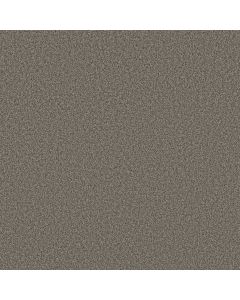 Shaw TONAL COMFORT II French Market Carpet - SH-5E657-00752