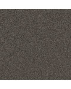 Shaw TONAL COMFORT II Weekend Getaway Carpet - SH-5E657-00753