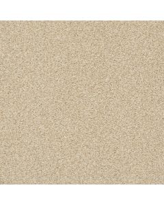Shaw TONAL COMFORT BLUE Sun Kissed Carpet - SH-5E658-00110