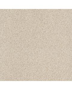 Shaw TONAL COMFORT BLUE Happy Place Carpet - SH-5E658-00123