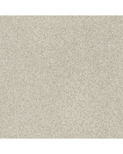 Shaw TONAL COMFORT BLUE Sand Castle Carpet - SH-5E658-00127