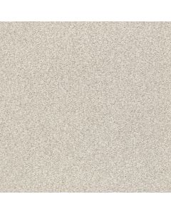 Shaw TONAL COMFORT BLUE Need A Hug Carpet - SH-5E658-00129