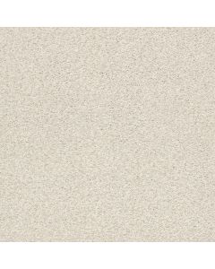 Shaw TONAL COMFORT BLUE Champagne Toast Carpet - SH-5E658-00153
