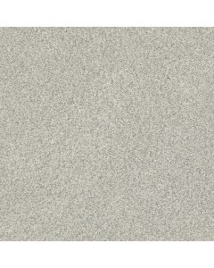 Shaw TONAL COMFORT BLUE Refreshed Carpet - SH-5E658-00515