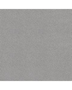 Shaw TONAL COMFORT BLUE Polished Silver 5E658-00538 Carpet