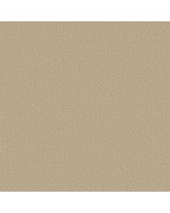 Shaw CANVAS COMFORT Sun Kissed Carpet - SH-5E659-00110