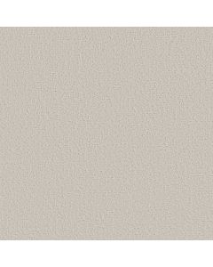 Shaw CANVAS COMFORT Warm Blanket Carpet - SH-5E659-00114