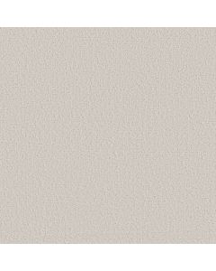 Shaw CANVAS COMFORT Clean Linen Carpet - SH-5E659-00122