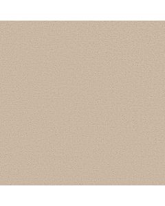 Shaw CANVAS COMFORT Happy Place Carpet - SH-5E659-00123