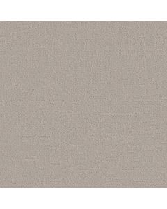 Shaw CANVAS COMFORT Chill In The Air Carpet - SH-5E659-00126