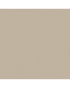 Shaw CANVAS COMFORT Sand Castle Carpet - SH-5E659-00127
