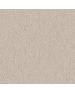Shaw CANVAS COMFORT Need A Hug Carpet - SH-5E659-00129