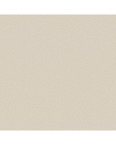 Shaw CANVAS COMFORT Champagne Toast Carpet - SH-5E659-00153