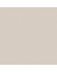 Shaw CANVAS COMFORT Whitewashed Frame 5E659-00154 Carpet