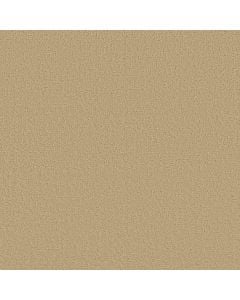 Shaw CANVAS COMFORT Hello Sunshine 5E659-00224 Carpet