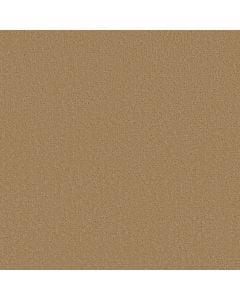 Shaw CANVAS COMFORT Pasta Recipe 5E659-00225 Carpet