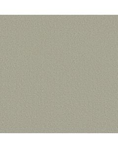 Shaw CANVAS COMFORT Willow Tree 5E659-00330 Carpet