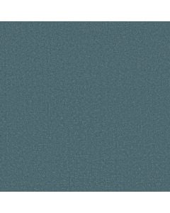 Shaw CANVAS COMFORT Life Of The Party 5E659-00423 Carpet