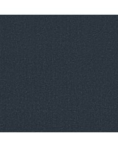 Shaw CANVAS COMFORT Under The Stars 5E659-00427 Carpet