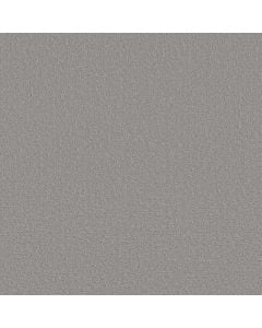 Shaw CANVAS COMFORT Restful Day 5E659-00512 Carpet