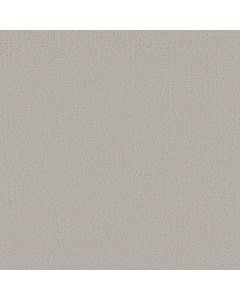 Shaw CANVAS COMFORT Quiet Time 5E659-00514 Carpet