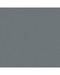 Shaw CANVAS COMFORT Ice Fishing 5E659-00518 Carpet