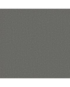 Shaw CANVAS COMFORT Lighthouse Shadows 5E659-00520 Carpet