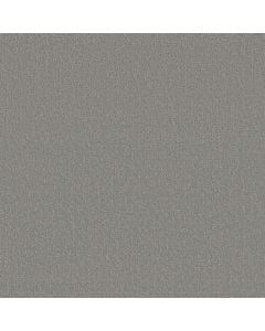 Shaw CANVAS COMFORT Cool Breeze 5E659-00525 Carpet