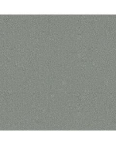 Shaw CANVAS COMFORT Misty Rain 5E659-00529 Carpet