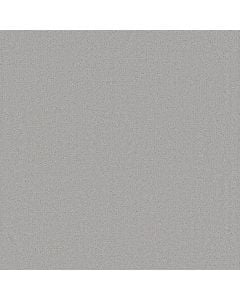 Shaw CANVAS COMFORT Polished Silver 5E659-00538 Carpet