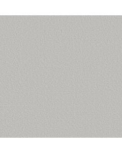Shaw CANVAS COMFORT Morning Dew 5E659-00539 Carpet