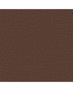 Shaw CANVAS COMFORT Chili Carpet - SH-5E659-00620