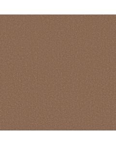 Shaw CANVAS COMFORT Terracotta Pot 5E659-00650 Carpet