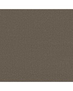 Shaw CANVAS COMFORT Summer House 5E659-00708 Carpet