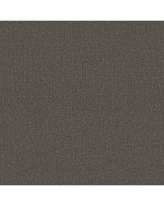 Shaw CANVAS COMFORT Weekend Getaway Carpet - SH-5E659-00753