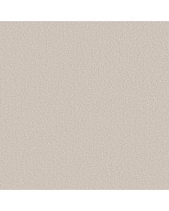 Shaw CANVAS COMFORT BLUE Champagne Toast Carpet - SH-5E660-00153