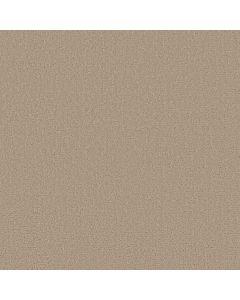 Shaw CANVAS COMFORT BLUE Walk On The Beach Carpet - SH-5E660-00721