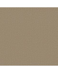 Shaw CANVAS COMFORT BLUE Honey Tea Carpet - SH-5E660-00750