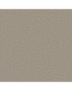 Shaw TWEED COMFORT I Got The Giggles Carpet - SH-5E661-00172