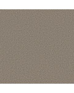 Shaw TWEED COMFORT I Stroke Of Luck Carpet - SH-5E661-00175