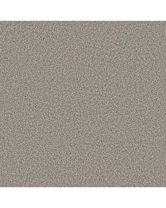 Shaw TWEED COMFORT I Stand Out Carpet - SH-5E661-00177