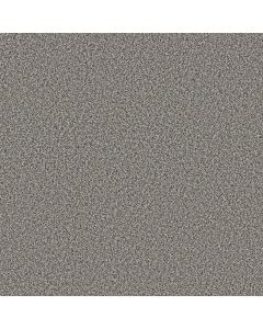 Shaw TWEED COMFORT I All Dressed Up Carpet - SH-5E661-00178