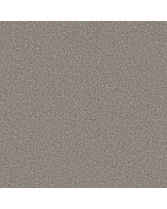 Shaw TWEED COMFORT I Island Tour Carpet - SH-5E661-00179